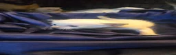 Siamese cats for sale: Stunning Siamese Kittens  - Advert 12