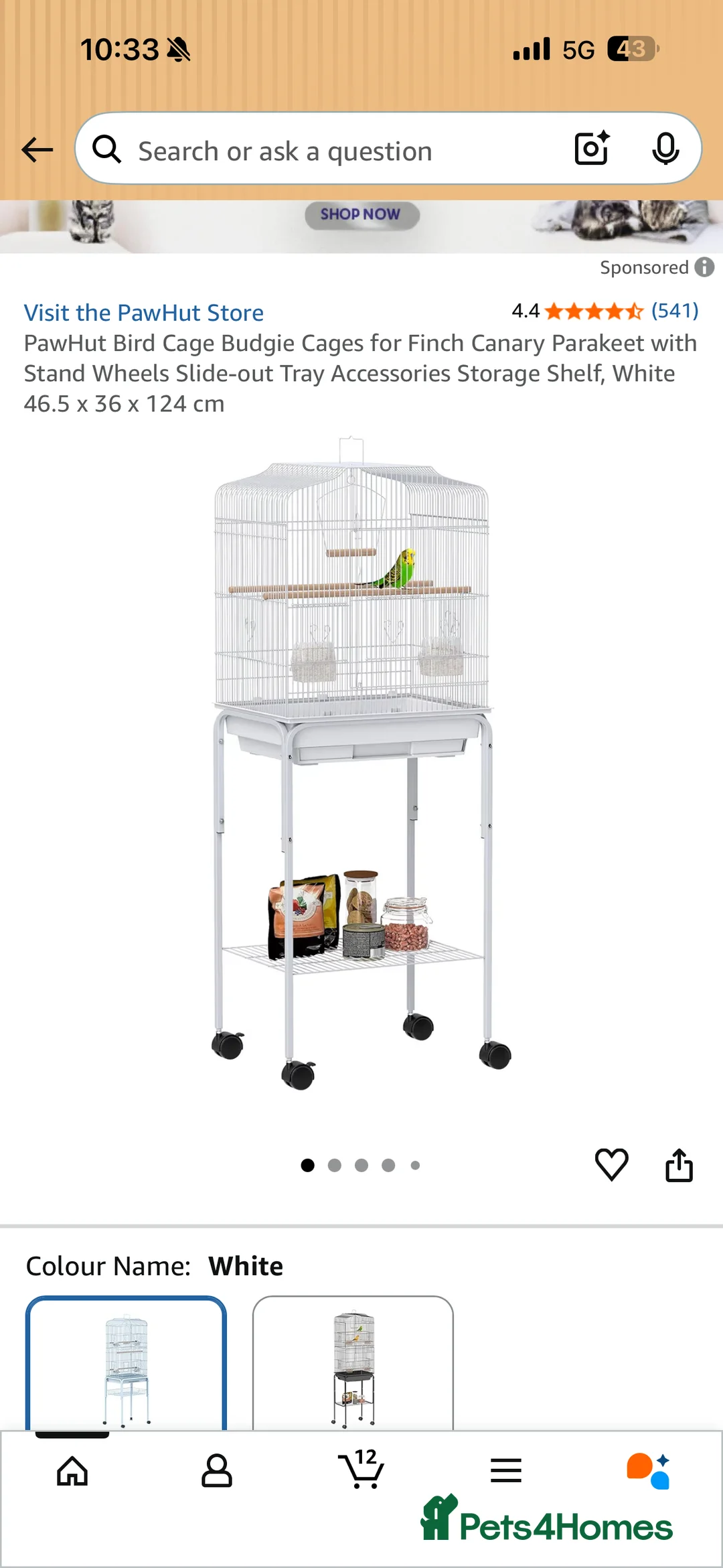 Budgerigars birds for sale: 2 Male Budgies with Cage & Accessories in Smethwick - Advert 4