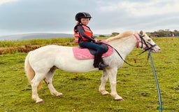 Riding pony horses for sale: For Sale Kids Lead Rein Pony! Safe and Bombproof - Advert 19