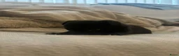 Chihuahua dogs for sale: 3 beautiful chihuahua puppies  - Advert 13