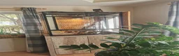 Boa Snake reptiles for sale: ++++++ - Advert 7