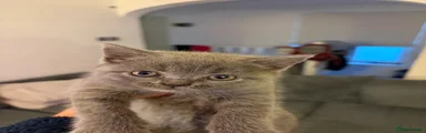 THIS IS FEMALE 