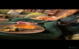 British Longhair cats for sale: Sweet 11 week old kitten 🐈‍⬛️ - Advert 3