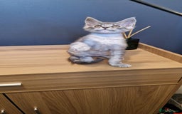 Maine Coon cats for sale: * READY NOW * Beautiful GCCF Mainecoon kittens  - Image 1