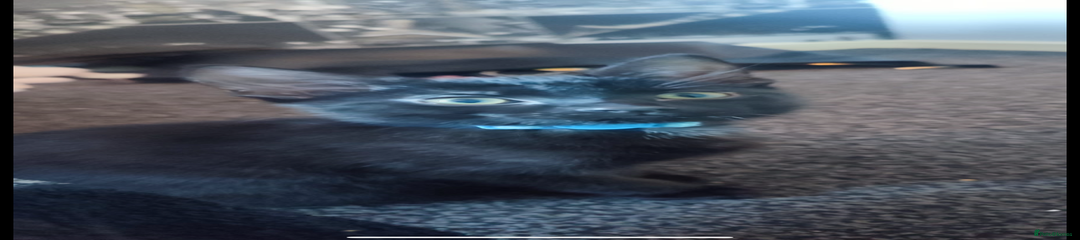 Mixed Breed Kitten 1