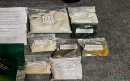 Sugar Glider rodents for sale: Two female sugar gliders with full set up - Image 16