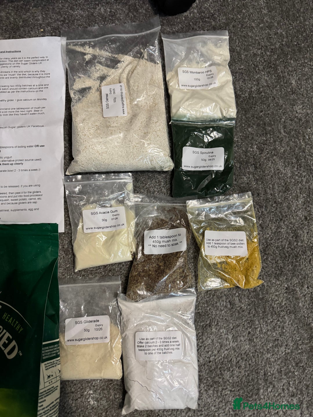 Sugar Glider rodents for sale: Two female sugar gliders with full set up - Image 16