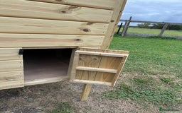 Chickens poultry for sale: Chicken Coops - excellent quality - British Made - Image 5