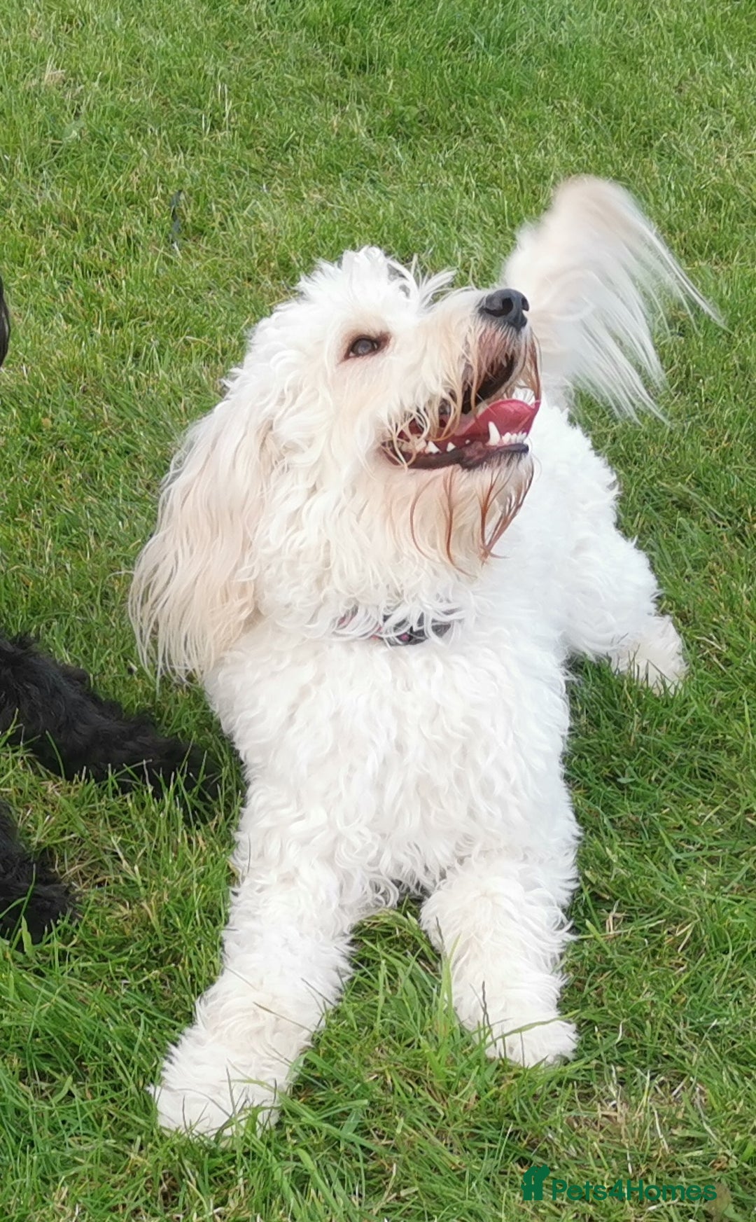 Gallery Image {{count}}