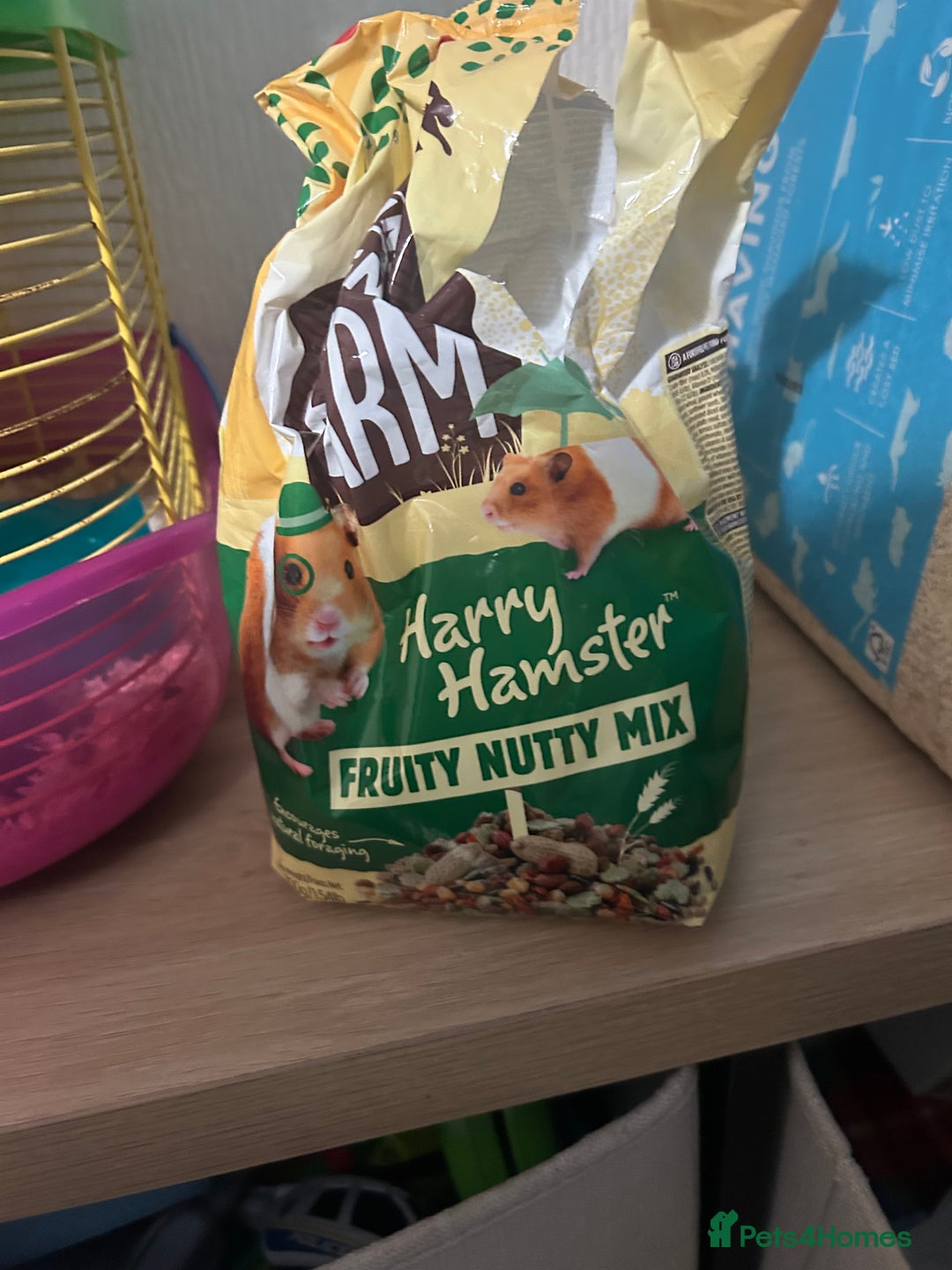 Hamster rodents for sale: Female Syrian Hamster - Advert 6