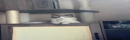 Ragdoll cats for sale: Ragdoll cat - Advert 1