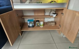 Tortoise reptiles for sale: Horsefeild tortoise and enclosure for Sale - Image 2