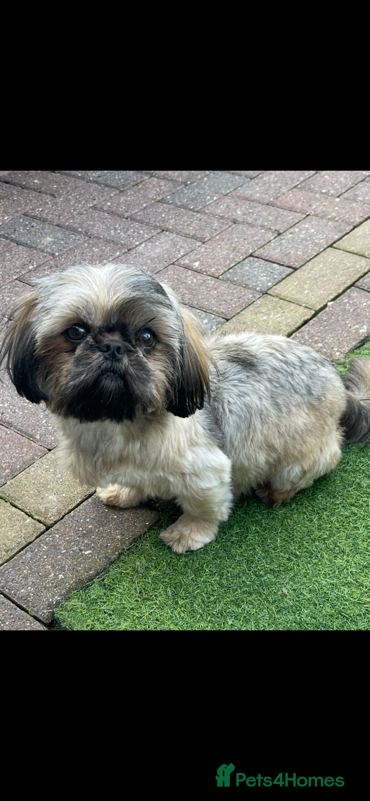 Tilly