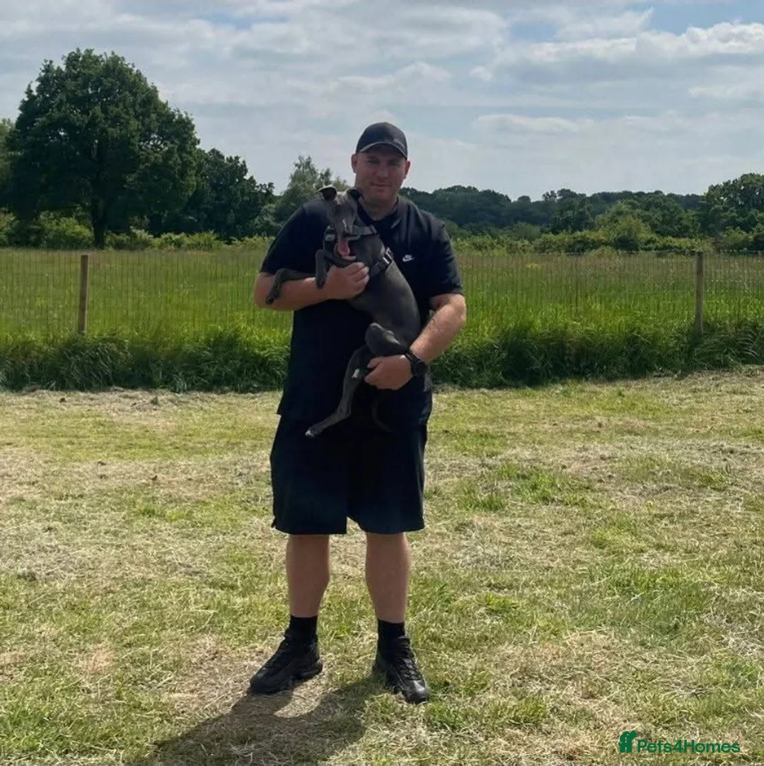 Gallery Image {{count}}