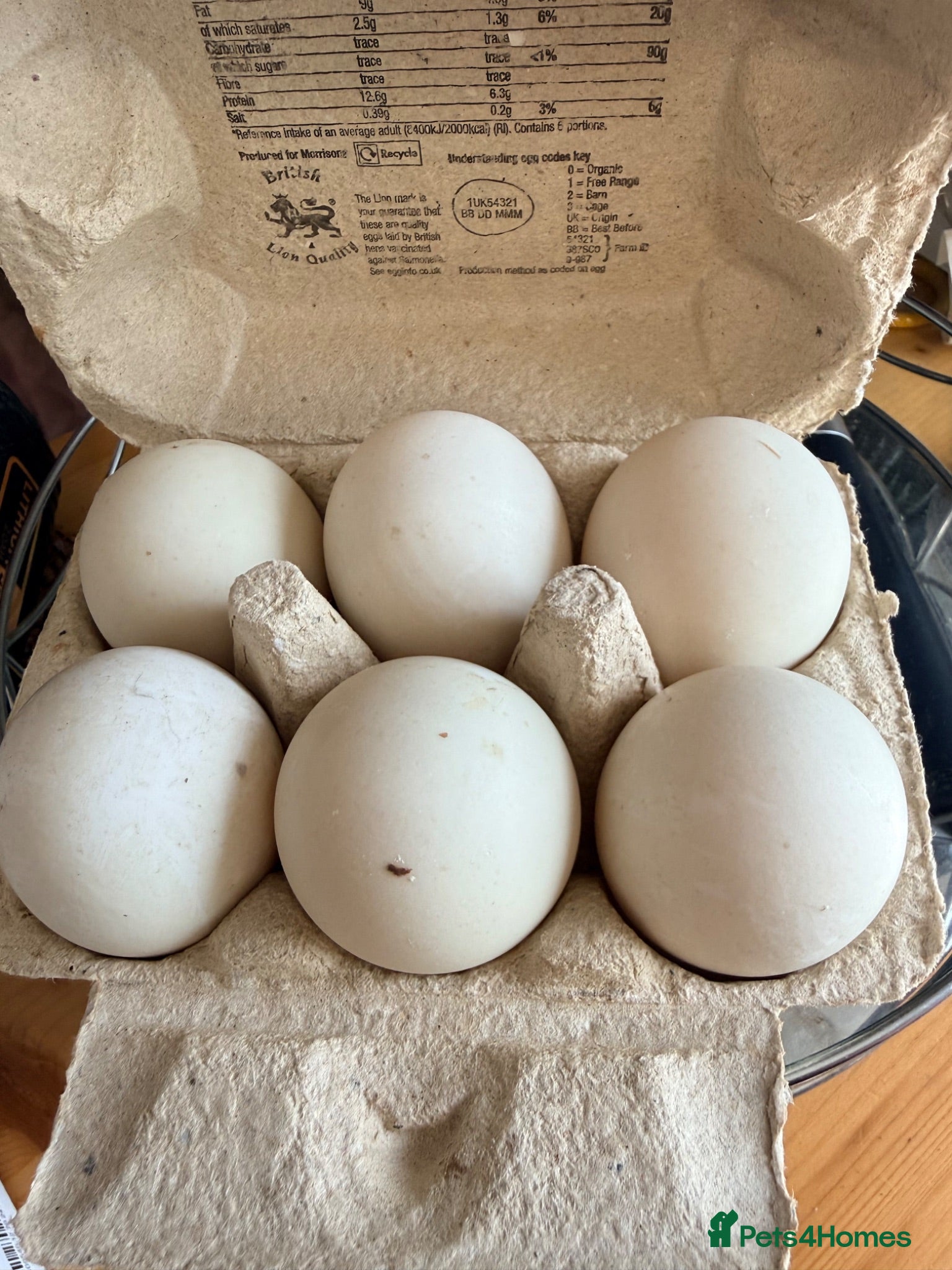 Ducks poultry Fertilised duck eggs  - Advert 2