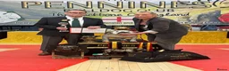 English Bulldog dogs for sale: Double CRUFTS winners bred bulldog puppies  - Advert 11