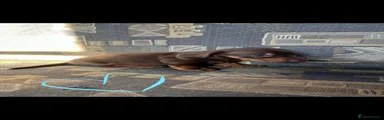 Dachshund 3