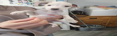 Boy 2 