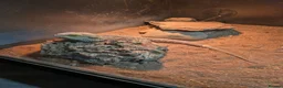 Bearded Dragon reptiles for sale: Rehoming my 11 year old bearded dragon  in Cardiff - Advert 2