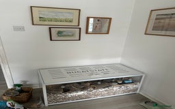 Hamster rodents for sale: Syrian Hamster  - Image 10