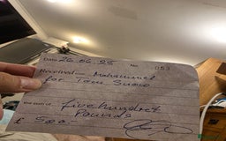 Siberian cats for sale: Siberian Kittens Super Friendly 💕🐾 - Image 15