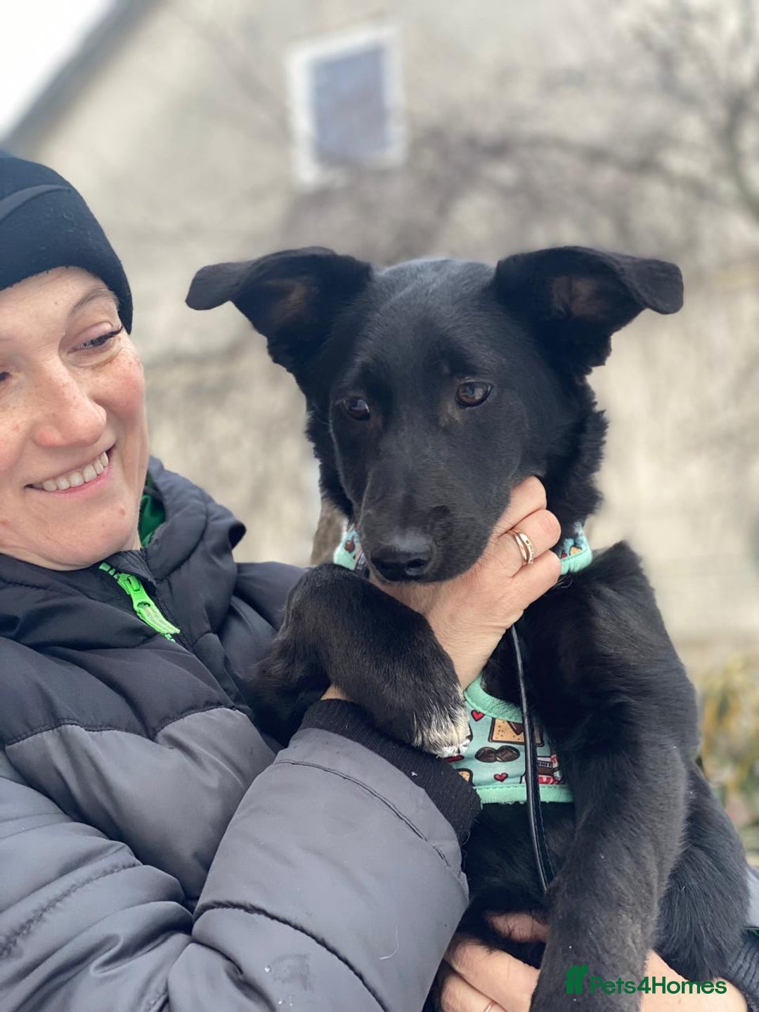 Mixed Breed dogs for adoption: 💖🐶 LADY AND DORY 🐶💖 - Advert 22