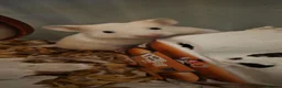 Hamster rodents for sale: Baby hamsters for sale in Newport - Advert 3