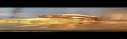 Turtle reptiles for sale: Mississipi Map Turtle-Full Set-Up in Gravesend - Advert 1