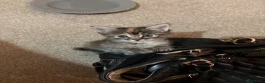 Ragcoon 4