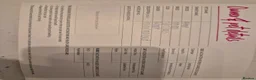 Bengal cats for sale: Bengal kittens for sale - Advert 5