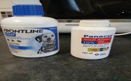Goldador dogs for sale: READY NOW. HEALTH CHECKS DONE🤍🦮 GOLDADOR PUPPIES in Bridgend - Image 22