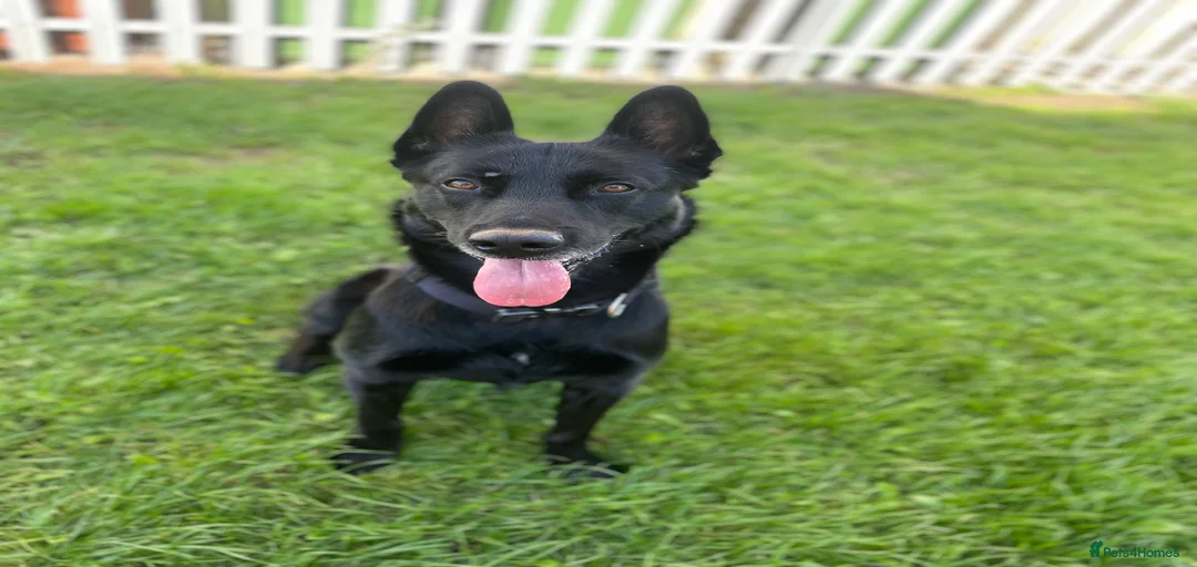 Gallery Image {{count}}