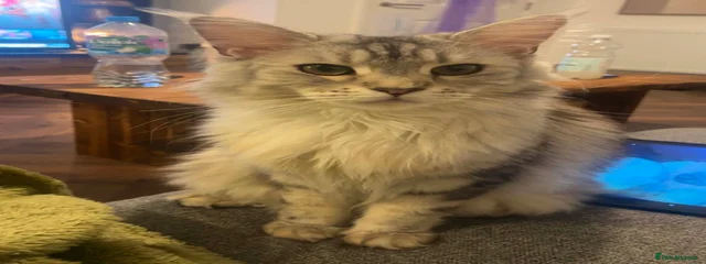 Freya