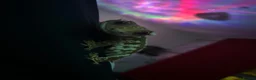Gecko reptiles for sale: Female Crested Gecko for sale  - Advert 4