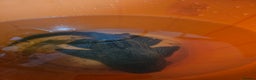 Plecos fish for sale: Sail Fin Pleco & Clown Roach - Advert 2