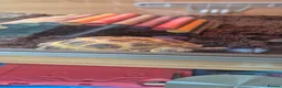 Tortoise reptiles for sale: Horsfield Tortoise & Set Up in London - Advert 3