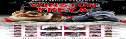 American Bully dogs for sale: 9 beautiful pocket bullies, ABKC registered  - Advert 1