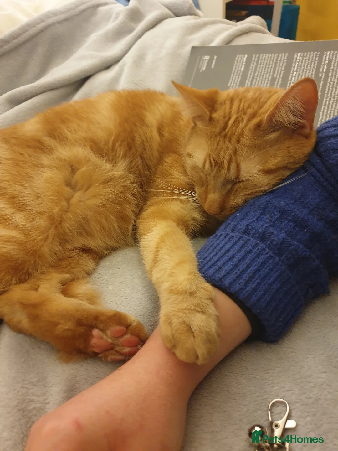 Gallery Image {{count}}