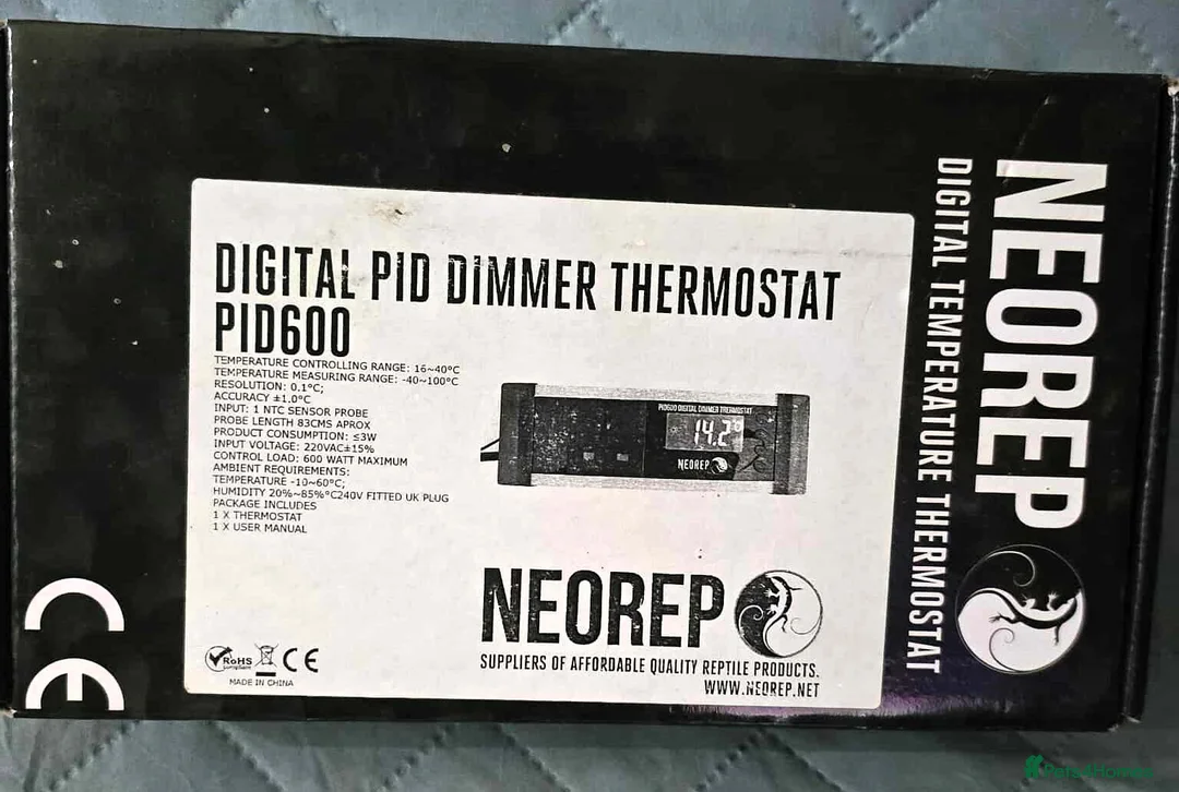 Gecko reptiles for sale: Mourning Geckos - Advert 2