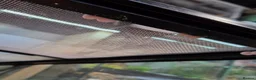 Gecko reptiles for sale: Mourning geckos and enclosure  - Advert 6
