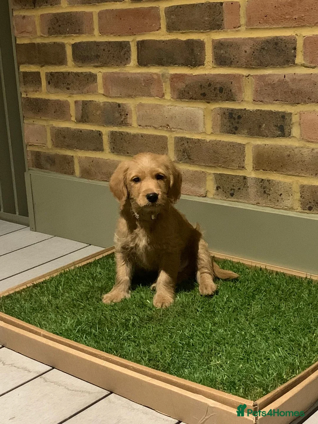 Gallery Image {{count}}