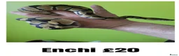 Python Snake reptiles for sale: Royal ("Ball") Pythons for rehoming from £10 - Advert 2