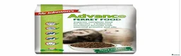 Ferret rodents for sale: 2 Ferrets for Sale, Seeking a Loving Home 15weeks - Advert 11
