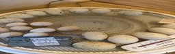 Ducks poultry for sale: Aylesbury Ducklings - Bristol Somerset in Banwell - Advert 2