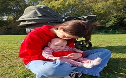 Labrador Retriever dogs for sale: Chunky KC reg Show line Champagnes boys  - Image 12