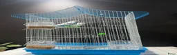 Budgerigars birds for sale: Few pair of budgies with cage  - Advert 11
