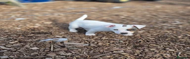 Spot