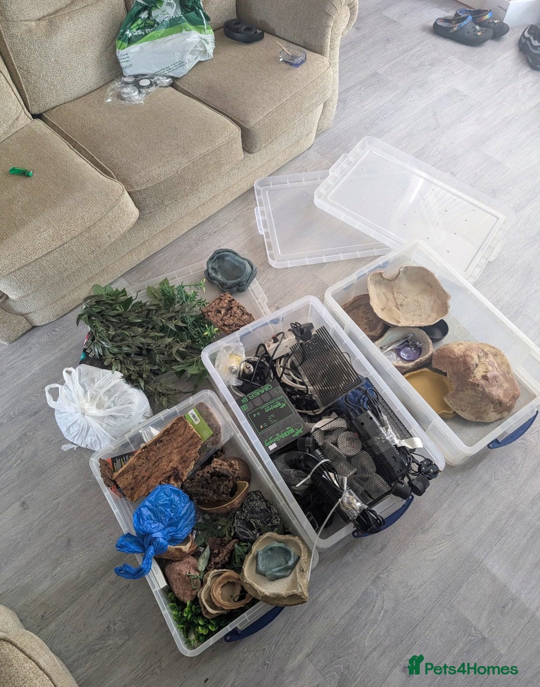 Dragon reptiles for sale: Reptile accessories  - Image 4