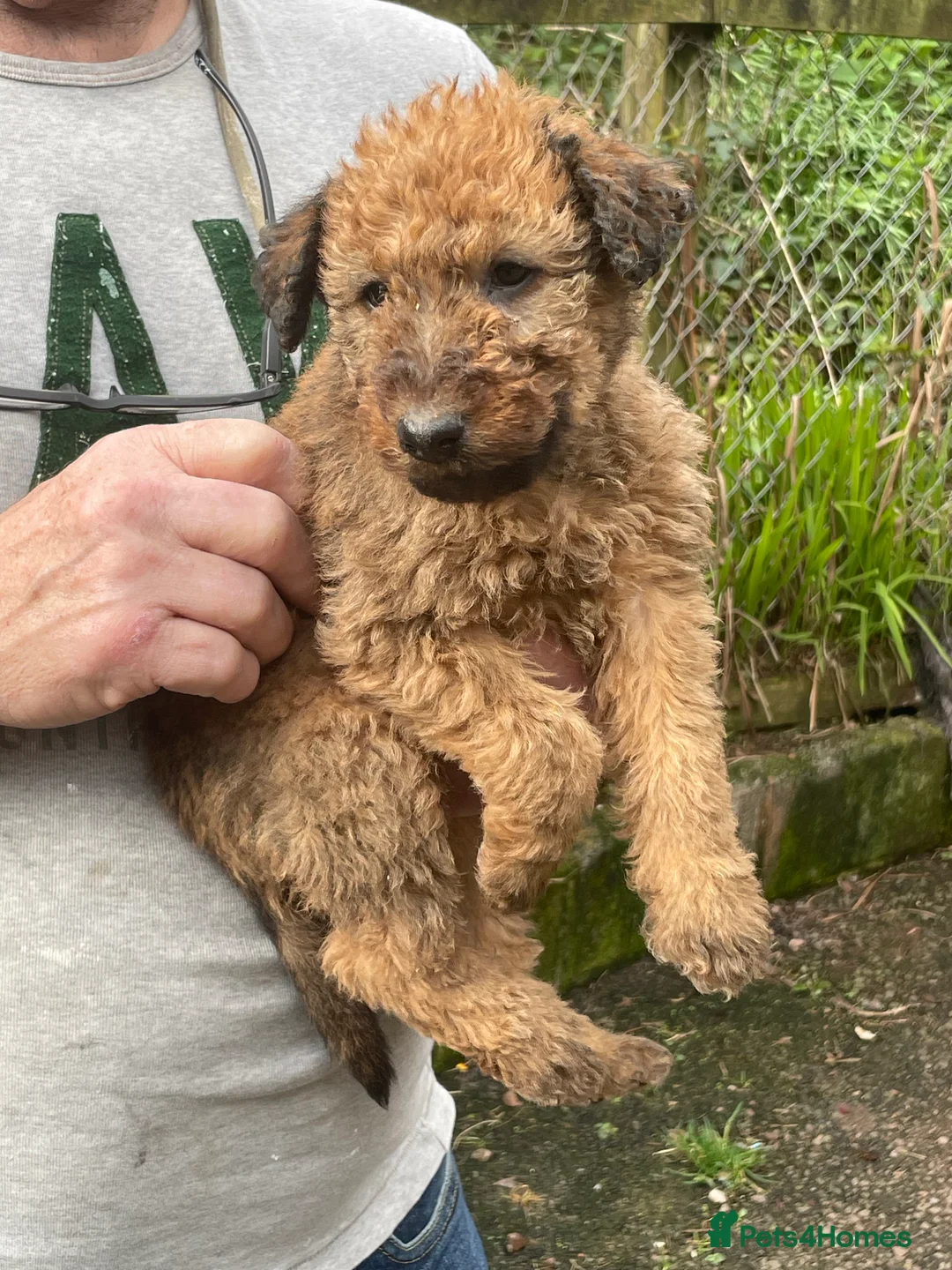 Gallery Image {{count}}