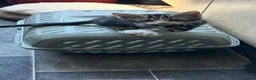 Mixed Breed cats for sale: Kitten tabby in Liverpool - Advert 4